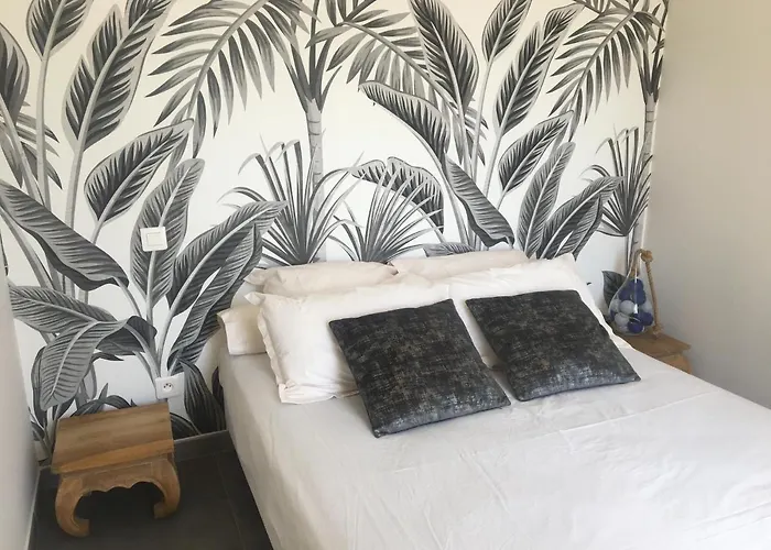 Casaradriimas, Un Cocon Au Coeur Du Centre Appartement Propriano (Corsica)